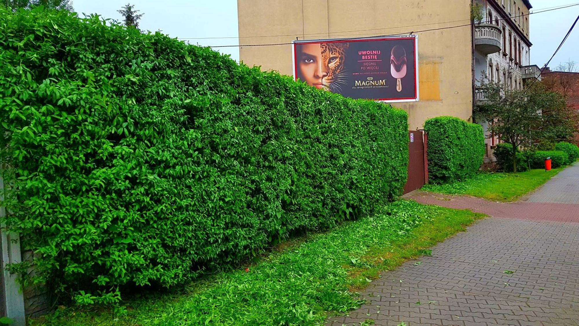 Apartament Park Slaski Katowice Eksteriør billede